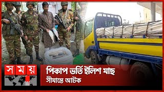 ভারতে পাচারকালে ইলিশ মাছ জব্দ | Ilish Fish | India | illegal | Brahmanbaria News | Somoy TV