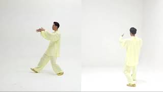 24式太极拳 分解版 第八式：右揽雀尾(24 Forms Tai Chi - Form 8: Grasp the Bird's Tail-Right Side)