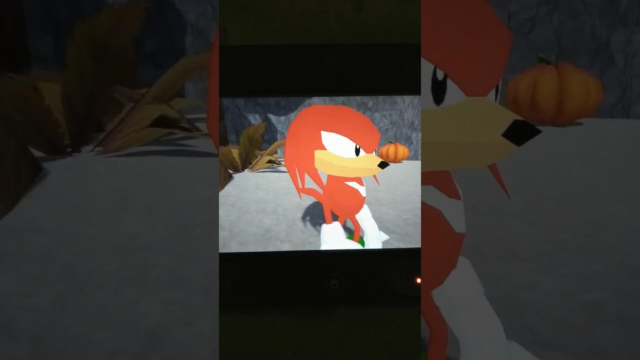 Sonic And Shadow Meet