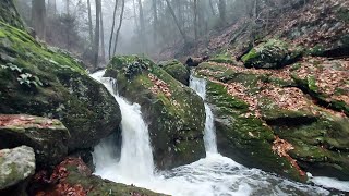 Exploring Connecticut's Naugatuck State Forest