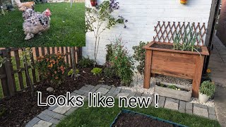 GARDEN UPDATE AND THE CHICKENS !