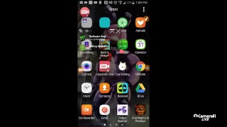iron python's broadcast