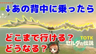 ネルドラの背中に乗って、どこまで行くのか？どうなるのか検証してみた！ | The Legend of Zelda: TOTK 【ティアキン】