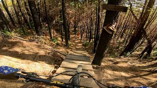 This Trail Was Tight! UCSC Santa Cruz MTB / Mountain Bike Trails