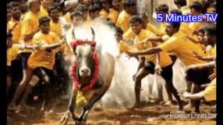 Jallikattu - தமிழ் நாடு , இனி எங்கள் தனி நாடு || Tamil Nadu is a separate country ..!!