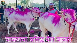 चाकणचा प्रसिद्ध बैल बाजार,,दि-३/२/२०२४…Chakan Bail Bajar..Bail Bazar chakan..Krushibhushan.#Chakan