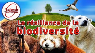 La résilience de la biodiversité - Science En Questions