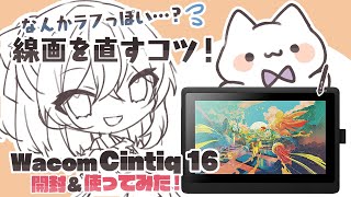 ラフっぽくなってしまう線画を修正するポイント！／Wacom Cintiq 16 開封＆使ってみたよ！