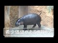 賃貸　s fort神戸三宮北　神戸のお部屋探しは住新ホーム