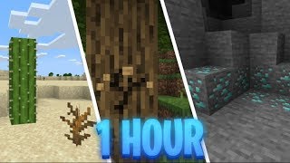 1 Hour of Minecraft Survival Gameplay | 1080p 60fps