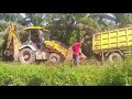 Machines Worked at Palm Oil Plantation - Jcb, Tractor, Truck, Excavator, Compactor, Mini Dumper