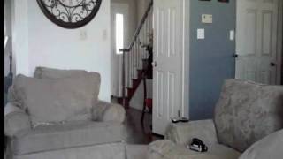 Stephanie Jumps!Adobe After Effects