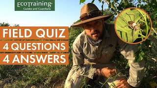 Interactive Field Observation Mashatu - Episode 7 | Test your knowledge | EcoTraining