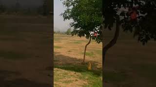 #The #side #view #of #the #road #from #Manendragarh #to #Pipariya #is #shown #in #this #short video.