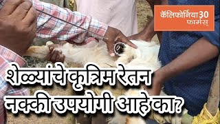 शेळ्यांचे कृत्रिम रेतन. A to Z Practical माहिती। Artificial Insemination in Goats.