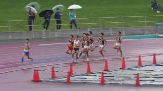 2017 関東学生新人陸上 男子 800m 準決勝2組