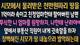 [실화 사연] 시모에게 물려받은 땅을 1억이라 속이고 친정에 팔아버린 남편, 부동산에서 뜻밖의 소식이 들리자, 시모가 찾아와 땅을치고 발악하는데ㅋ