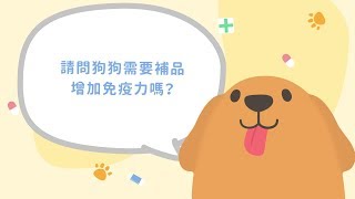 《毛小孩的神回答》第1集：狗狗需要吃補品增加免疫力嗎？