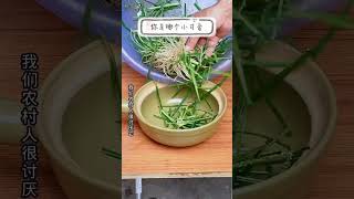 #植物牛筋草农村植物#农村#中草药 1679245124 8804572