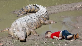 Crocodile Attack boy in water | Crocodile attack human | Crocodile attack stories