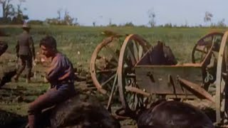 The Great War (BBC 1964) Colourized - Episode 19 - The Hell Where Youth and Laughter Go