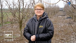 În Grădina Danei. Stropiri de primăvară la pomi | Construcția unui solar | Monstera deliciosa