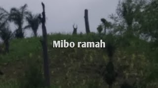 Mibo ram (True incident) : by Tea CCK