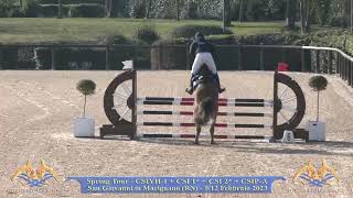 Cherry Blossom PM (2018 Calvaro) clear CSIYH 5YO San Giovanni