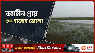 পানির অভাবে মাছ উৎপাদন ব্যাহত নেত্রকোনার হাওরাঞ্চলে!| Netrokona | Haor | Fish Production | SomoyTV