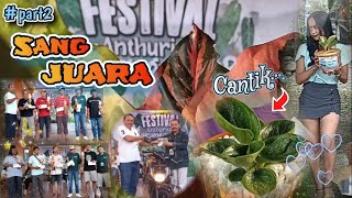 PARA JUARA KONTES..!! FESTIVAL ANTHURIUM KARANGANYAR (part2) Cantik-Cantik..🥰