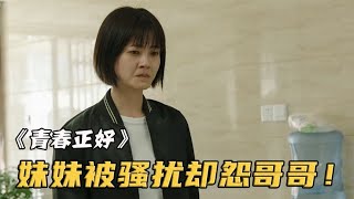 妹妹被人性騷擾，哥哥拿斧頭去報仇，可做法卻讓人寒心！影視