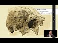 kim byli pierwsi ludzie historia homo habilis h. rudolfiensis i a. sediba nasi przodkowie 10