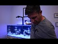 WATCH THIS BEFORE YOU ADD ANY CORALS TO YOUR AQUARIUM!