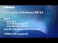 NetBeans IDE 8.0 Overview