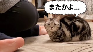 爆音のおなら