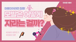 머리카락의 성장주기가 있다고?! 한번 같이 알아보러 갈까요?