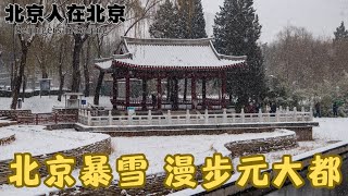 北京大暴雪 如期而至 顶着雪花漫步在元大都遗址公园中，大片雪花好似漫天的蝶与絮，端庄优雅，气定神闲。打雪仗、堆雪人、雪中漫步自拍……这是属于冬日独有的快乐