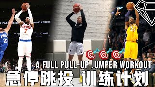 一套基础高效的急停跳投训练计划A Full Pull Up Jumper Workout 再也不会投丢你的中距离 Mid-Range Game！