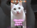 【白猫バームと黒猫ランク】she is negotiating the time and the number of times of feeding😅ご飯の時間と回数について文句があるようです…