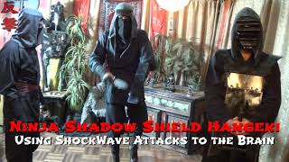 Ninja Shadow Shield Shockwave Attack to the Brain. FREE ONLINE NINJA TRAINING Level 10, Gyokku