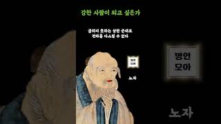 진정한 강자가 되고싶다면 새겨들어야 할 노자 명언 | 인생을 바꾸는 노자의 인생조언 도교 사상 노자 명언 삶의 지혜 인간 관계 처세술  #쇼츠 #shorts