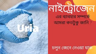 নাইট্রোজেন।ইউরিয়া সারের কাজ, অভাবজনিত লক্ষণ ও অধিক প্রয়োগের ফলে কি হয় জেনে নিন