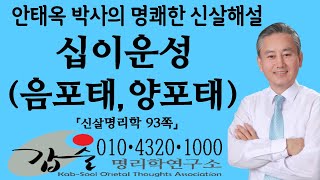 십이운성(음포태/양포태)-(신살명리학93쪽)-#안태옥박사 #갑술명리학 #한국재능연구소 #갑술만세력 #갑술작명연구소 #MBTI #성격심리검사 #좋은이름 #결혼날짜 #학생진로 #직업