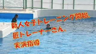 新人女子トレーニング開始?、匠トレーナーさん、実演指導、鴨川シーワールド、シャチ、