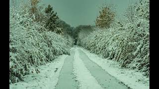 Schwarzenbek im Winter am Sachsenwald in Schleswig Holstein im Kreis Herzogtum Lauenburg