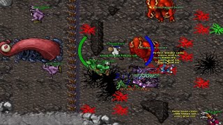 Tibia Boss Arbaziloth