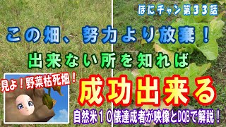 野菜根本的に不可な場所！それを知れば失敗しないし成功する！土質は土の才能・向き・不向きの根本。だから土質の結果起こる出来事を見てみましょう。#自然栽培 #自然農法 #自家採種 #不耕起栽培 #自然米