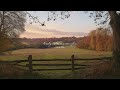 a playlist for a quiet morning 🍂🐈💨 (autumn version)