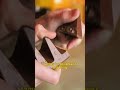 dipping chocolate in chocolate