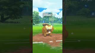 포켓몬고 스프링컵 비버통 은근 쓸만해요 적절한 내구와 공격력으로 무장 #pokemongo #gobattleleague